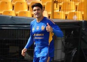 Recupera Tigres a Gorriarán e Ibáñez