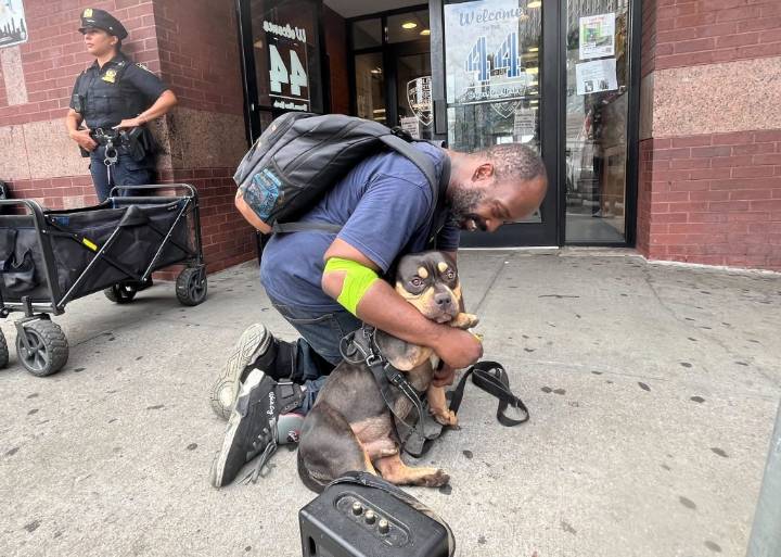 Dog stolen on NYC subway reunited with overjoyed owner