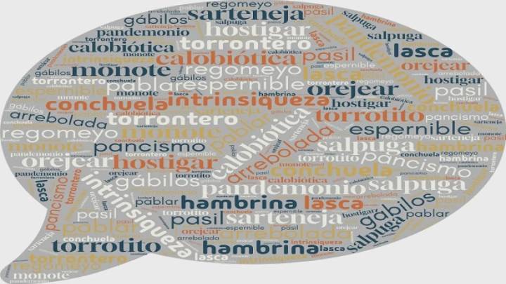 20 palabras que quizás no conocías y que te ayudarán a enriquecer tu vocabulario (X)