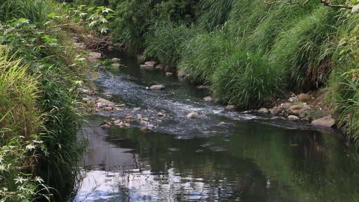 Vecinos de Camerino Z. Mendoza descubren cuerpo sin vida flotando en el río Blanco