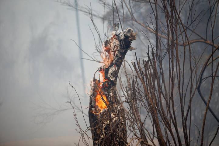 En España persisten 40 focos de incendio mientras crece la ayuda internacional y de otras comunidades autónomas