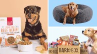 10 best National Dog Day deals for your favorite pup 🐾