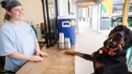 The Urban Dog Bar in Nashville is an alternate to dog parks. See inside