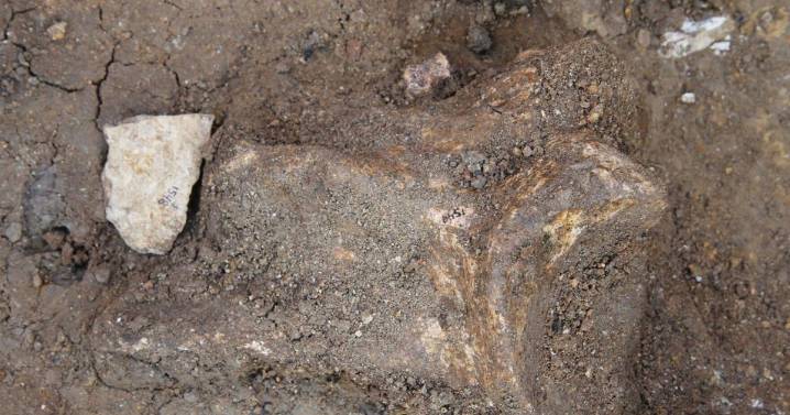 Ancient humans went the extra mile (literally) for quality stone tools