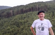 ¿Por qué el mayor pinar de Europa, entre Soria y Burgos, nunca arde? Porque se mantiene una costumbre medieval: la Suerte de Pinos
