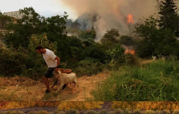 Estudio: el cambio climático intensificó los incendios en Turquía y Grecia