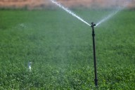 Las masas de agua del Alto Guadiana continúan en descenso pese a las lluvias de primavera