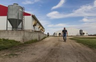 Nebraska is getting what it voted for