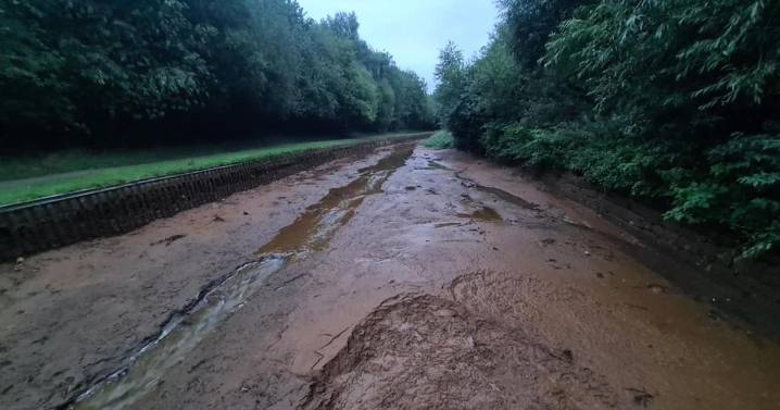 Police launch investigation as two-mile stretch of canal left looking like this