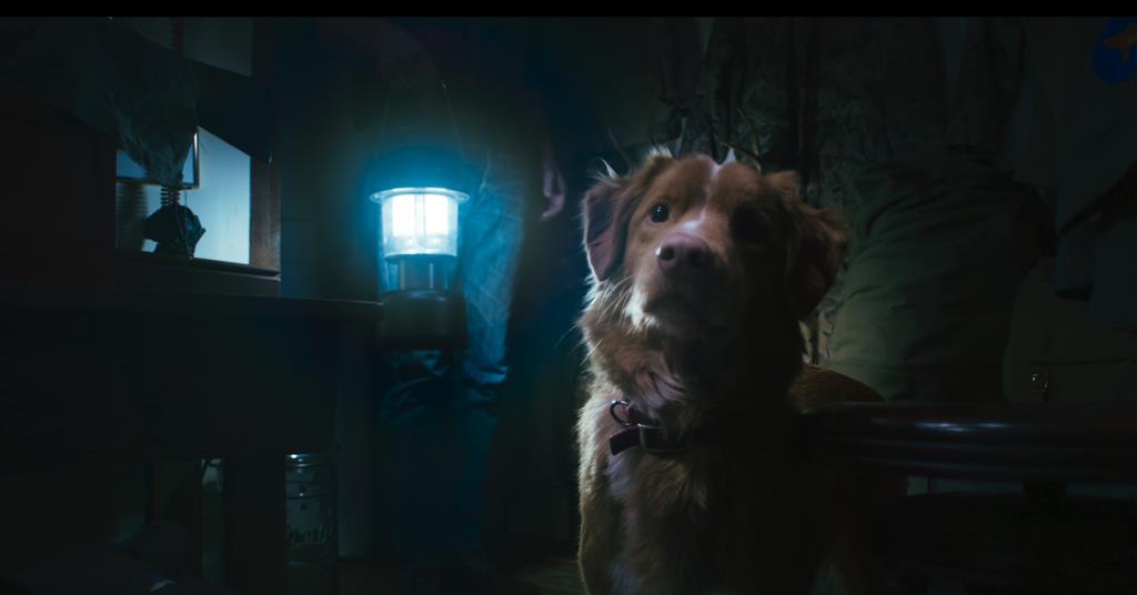 Vertigo Releasing acquires ghost dog horror ‘Good Boy’ for UK