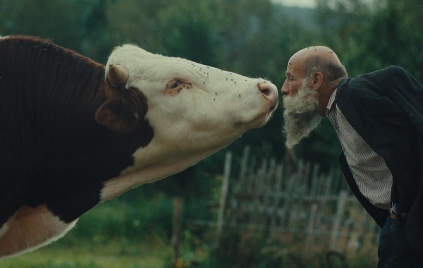 ‘Better Go Mad in the Wild’: first trailer for Karlovy Vary winner with late Frantisek Klisik