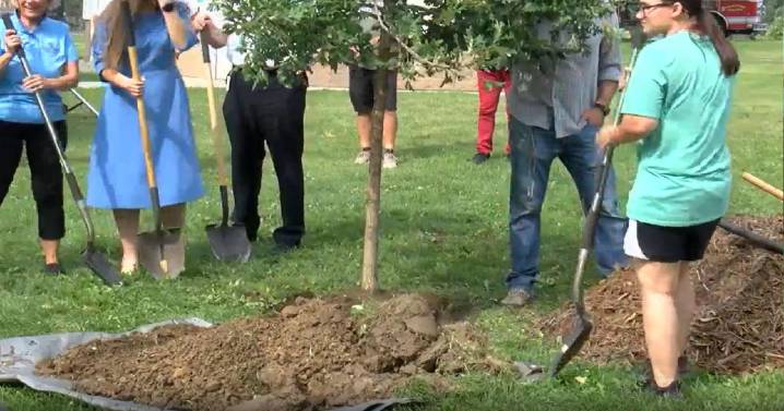 Cedar Rapids Marks Five Years Since Devastating Derecho