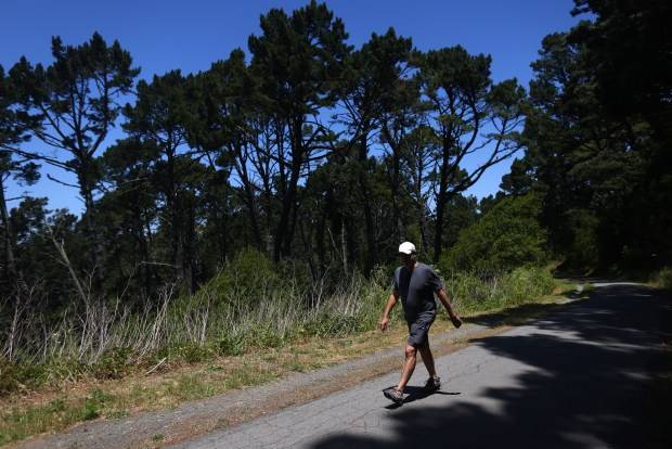 Hiking, swimming and farm animals: How to spend a day at Tilden Regional Park