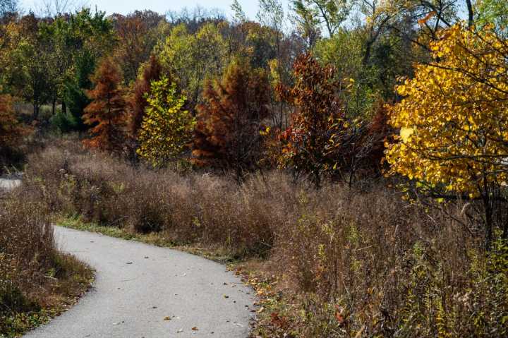 2 Women Groped By Man At West Ridge Nature Park, Alderman Says