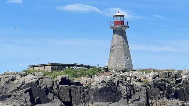 Volunteers from across North America giving crumbling N.S. lighthouse a facelift