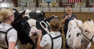 Wednesday at The Fonda Fair in 35 pictures