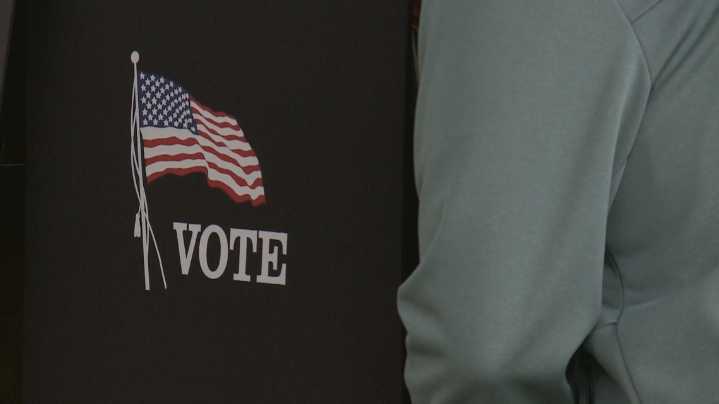 Lee will face Bittner in special election to fill Melissa Hortman's seat