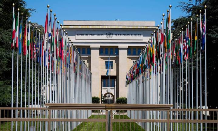 Relatores de la ONU alertan riesgos para activistas si son deportados de EE UU