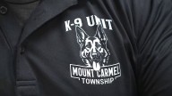 Mt. Carmel Township Police looks to raise funds to establish K