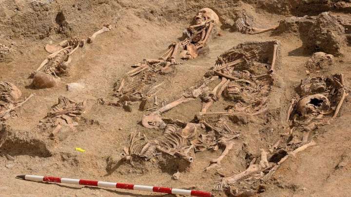 Una excavación arqueológica descubre restos óseos del siglo XIX en unas obras en Chamberí