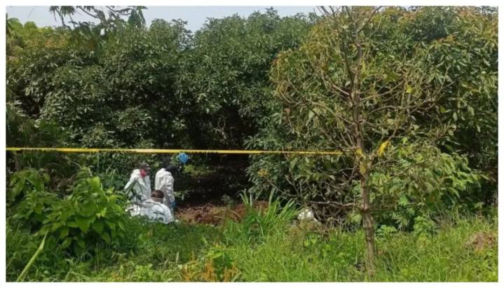 Localizan dos cuerpos en fosa clandestina en zona rural de Tepic