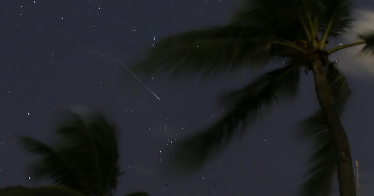 Venus and Jupiter appear close in the sky