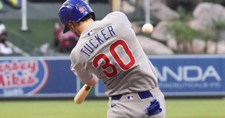Tucker hits 2 homers and drives in 5 as Cubs blow out Angels 12