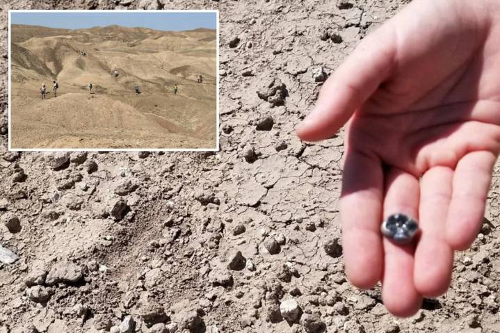 2.65 million-year-old fossil teeth unearthed in Ethiopia reveal new Homo species in human evolution