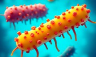 El microbioma humano y su conexión entre el intestino