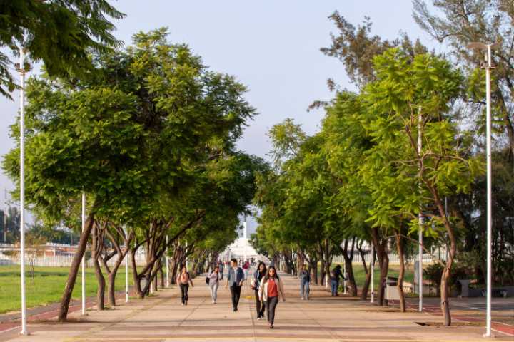 Regresan a clases 342 mil alumnos de la UdeG