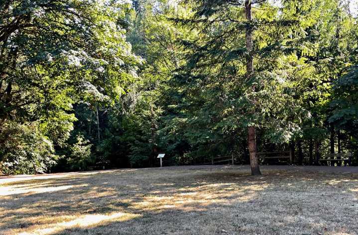 Travels with Charlie: Dog Days of Summer