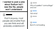 73 Times People Missed The Joke So Embarrassingly, They Became The Joke Themselves