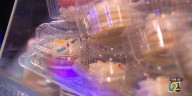 Iowa State Fair vendor sells cookies to support breast cancer patients