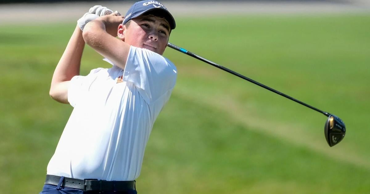 Lions favored to win Ohio boys golf race