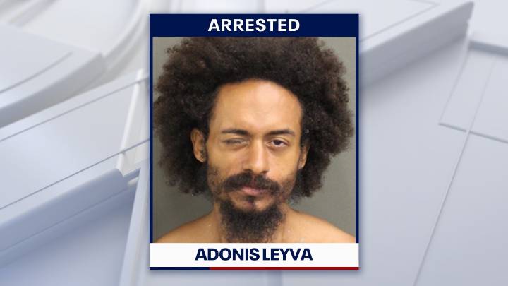 Man arrested after killing swan near Lake Eola, police say