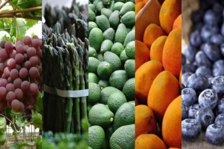 Perú: en 2025 exportaciones alcanzarían récord histórico de US$ 84,327 millones