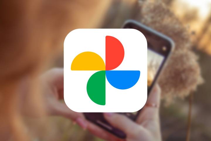 Google Fotos ahora es mucho mejor: acaba de añadir una función que vas a utilizar todo el tiempo (y gratis)