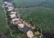Un estudio revela que los árboles del Amazonas crean lluvia en la sequía con agua superficial