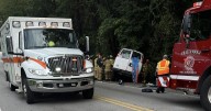 2 injured after tree falls onto van on Bonny Oaks Drive