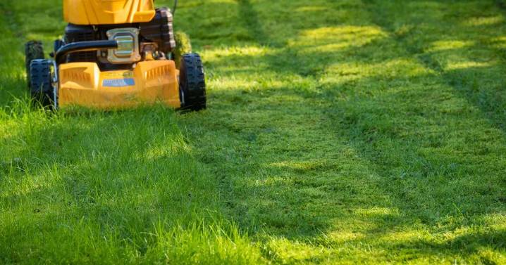 Exact time you should cut your grass this weekend