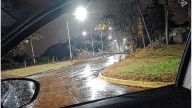 La tormenta tumbó un árbol en la zona del ex