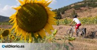 Veinte años del incendio de los pinares del ducado de Medinaceli: la vida no termina, se transforma