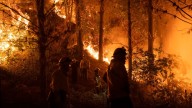 Los pirómanos provocan dos de cada diez incendios forestales en España