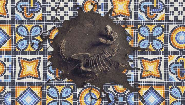 From Neanderthals To Romans, What Did Ancient People Think When They Found Fossils?