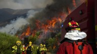 Jarilla, el mayor incendio de Extremadura en el último siglo More