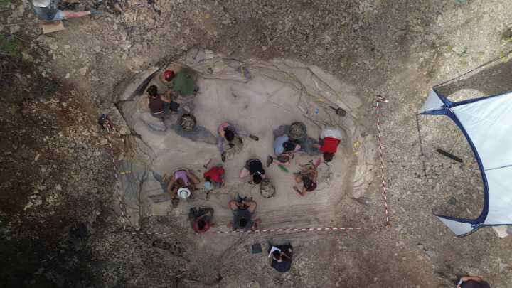 Más de 500 fósiles y muchas visitas: así ha sido la campaña de excavaciones en Las Hoyas de este verano