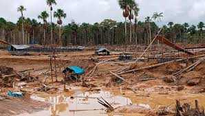 FANB destruye un campamento de minería ilegal en Amazonas