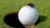 Mosca le hace ganar 2 millones de dólares a golfista en torneo de élite