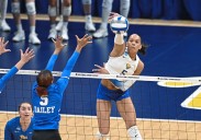 No. 3 Pitt volleyball drops season opener to No. 1 Nebraska