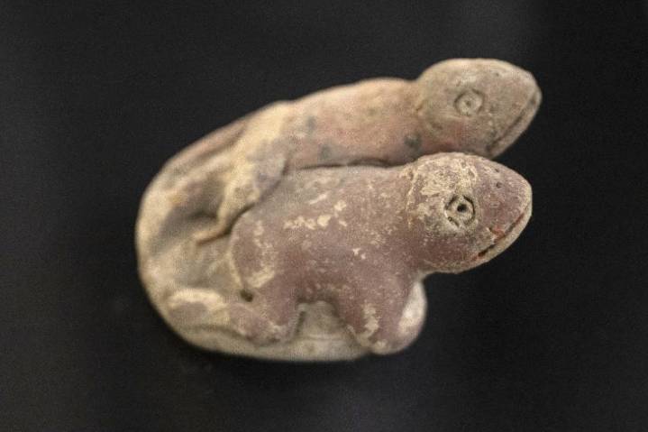 Caral: Hallan escultura de sapos de civilización más antigua de América